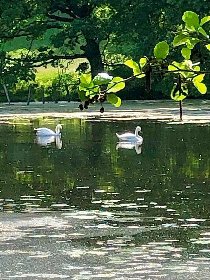 Ferienwohnungen Am Klusteich Goslar Eksteriør billede
